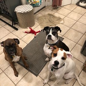 Meet your Posher, Grant